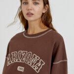 Brown Arizona Sweatshirt - Hình ảnh 3