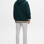 Basic Slim Fit Chinos Trousers - Hình ảnh 2