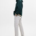 Basic Slim Fit Chinos Trousers - Hình ảnh 4